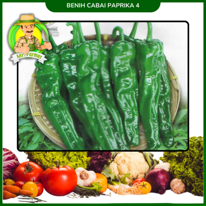 Benih Cabai Paprika 4