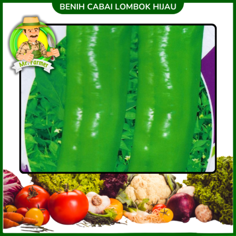 Benih Cabai Lombok Hijau