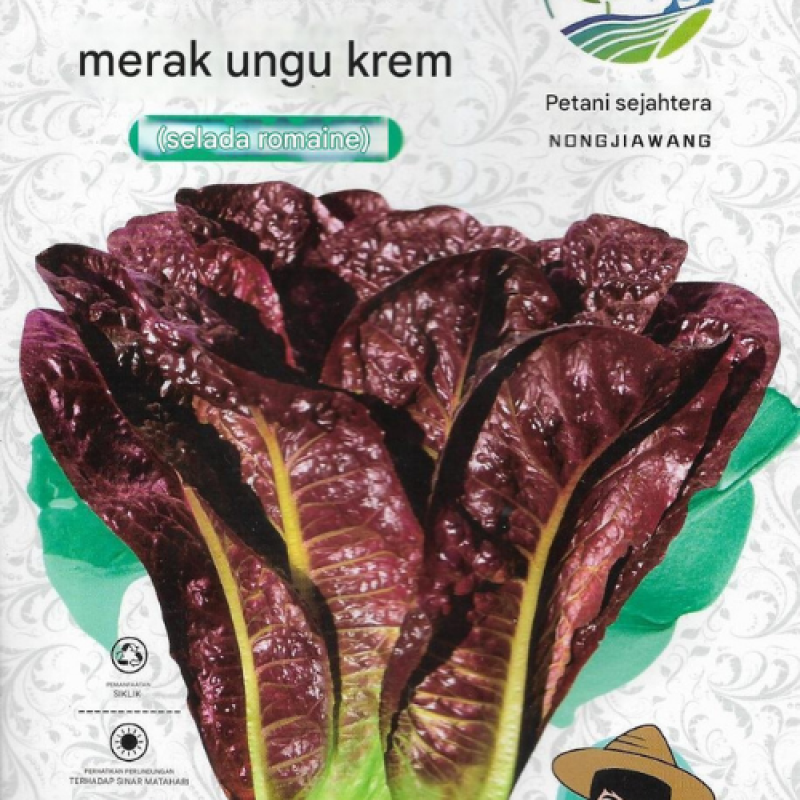 Benih Selada Merah Benih Selada Merah