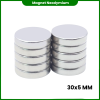 Magnet Coin D30mm*5mm Magnet Coin D30mm*5mm
