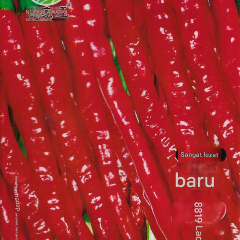 Benih Cabai Merah Keriting Benih Cabai Merah Keriting