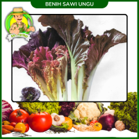 Benih Sawi Ungu