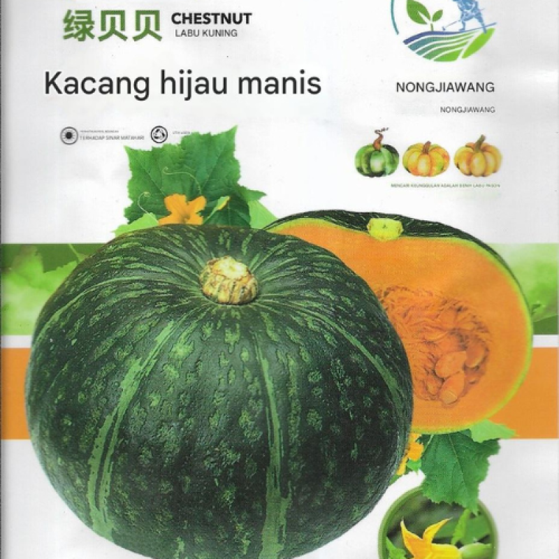 Benih Labu Hijau Benih Labu Hijau