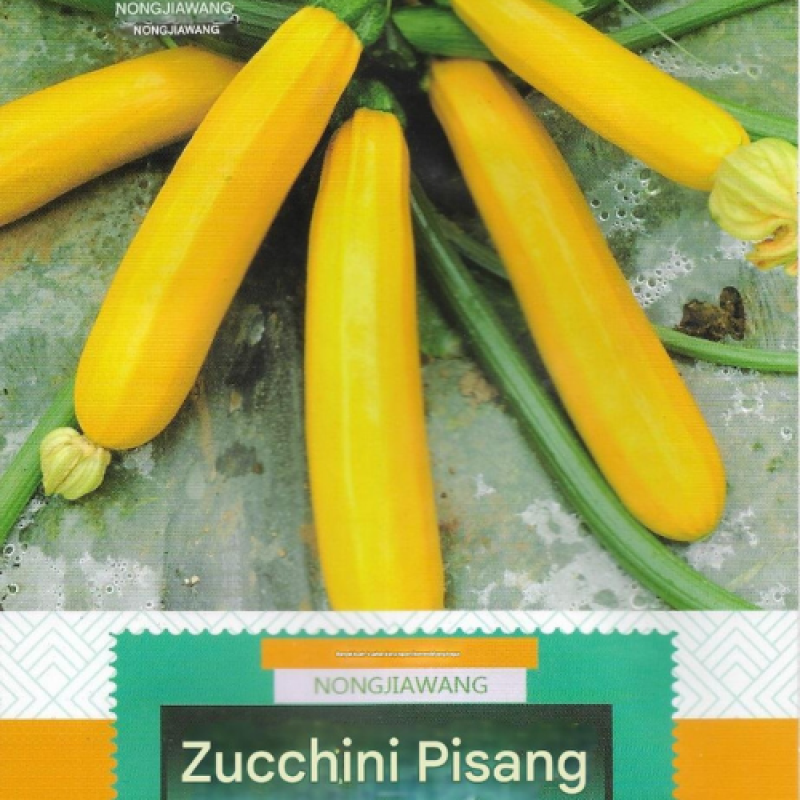 Benih Pisang Zucchini Benih Pisang Zucchini