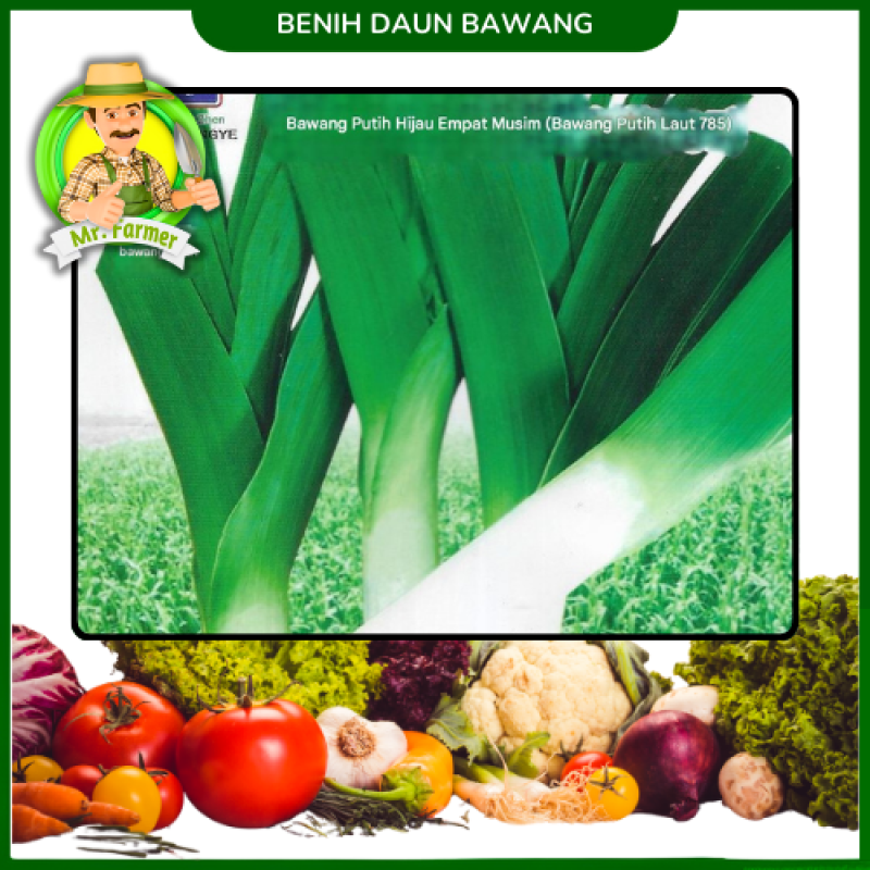Benih Daun Bawang