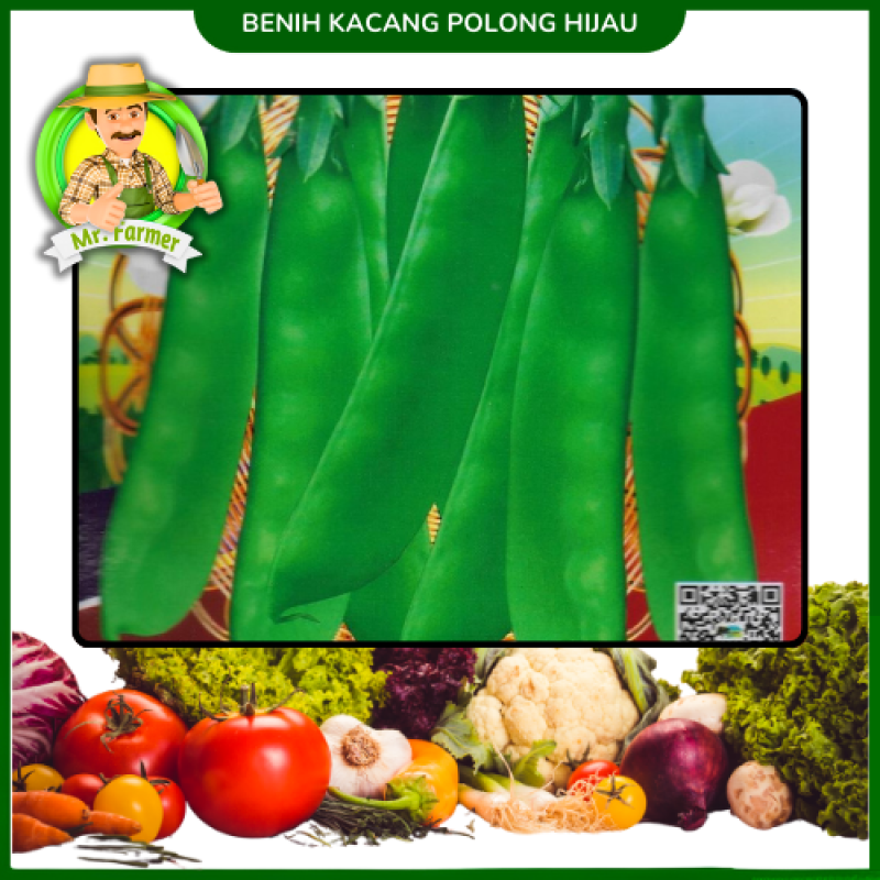 Benih Kacang Polong Hijau