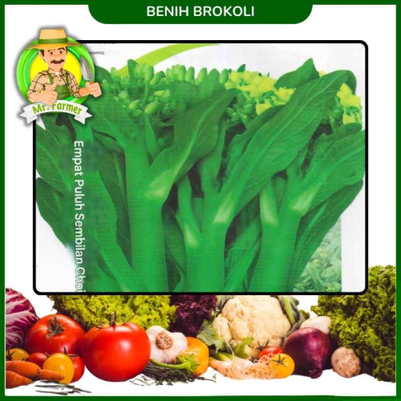 Benih Brokoli