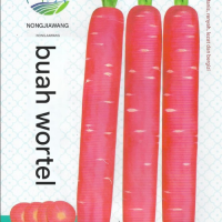  Benih Wortel