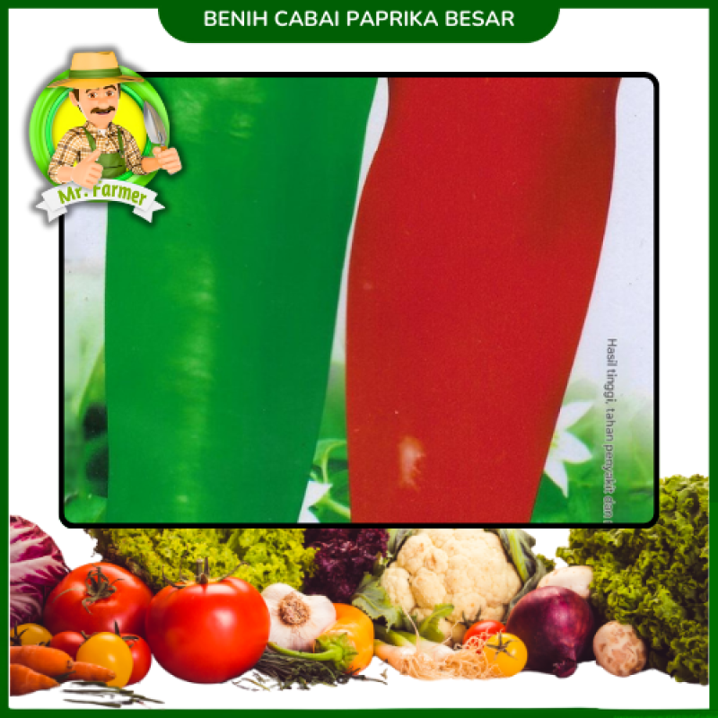 Benih Cabai Paprika Besar