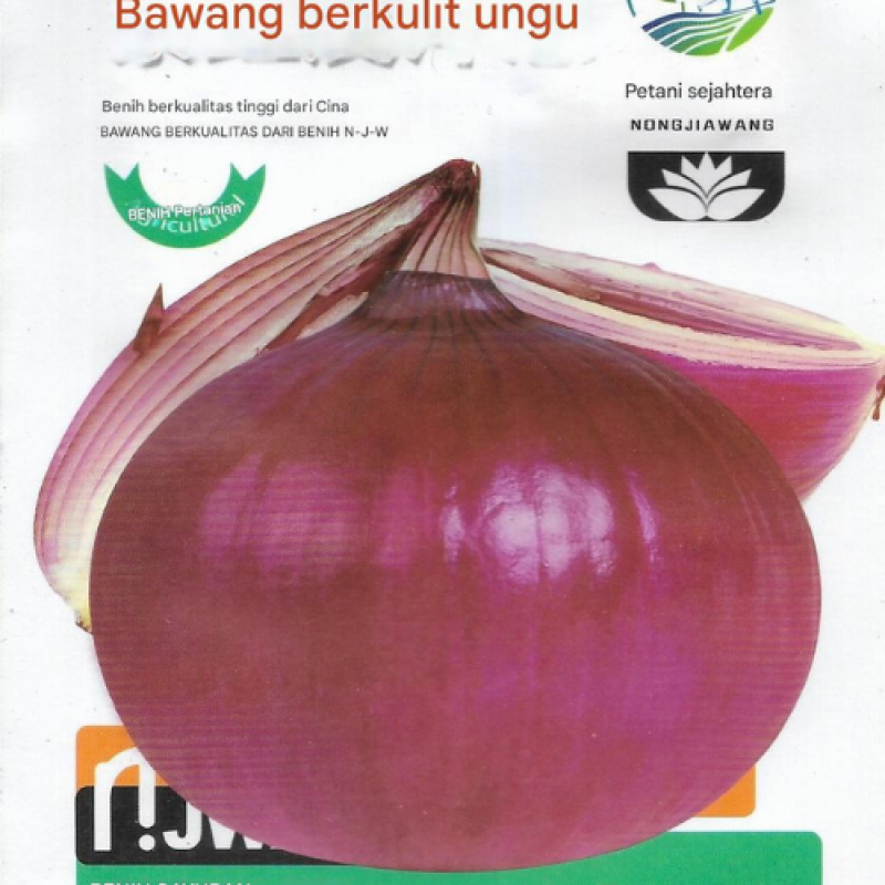 Benih Bawang Bombai Ungu Benih Bawang Bombai Ungu