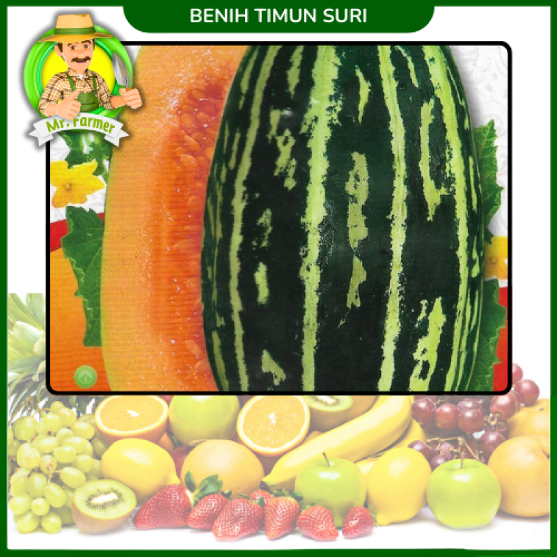 Benih Timun Suri