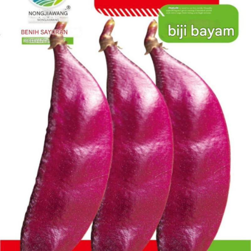 Benih Kacang Polong Ungu Benih Kacang Polong Ungu