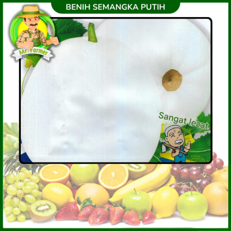 Benih Melon Putih