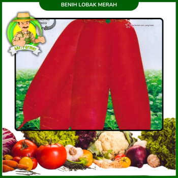 Benih Lobak Merah Benih Lobak Merah
