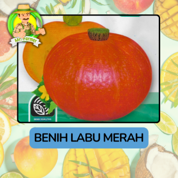 Benih Buah Buahan Bibit Biji Tanaman Organik