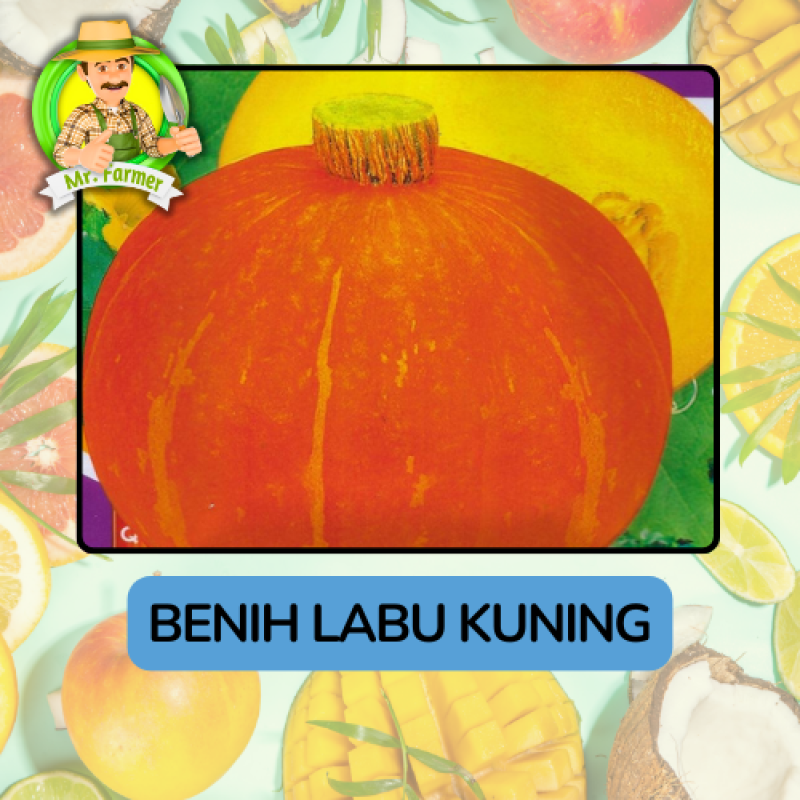 Benih Buah Buahan Bibit Biji Tanaman Organik Benih Buah Buahan Bibit Biji Tanaman Organik