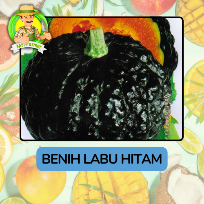 Benih Buah Buahan Bibit Biji Tanaman Organik Benih Buah Buahan Bibit Biji Tanaman Organik