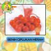 Benih Buah Buahan Bibit Biji Tanaman Organik