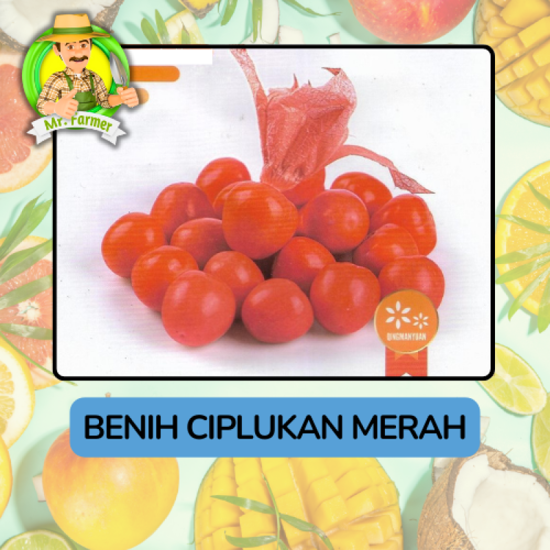 Benih Buah Buahan Bibit Biji Tanaman Organik Benih Buah Buahan Bibit Biji Tanaman Organik
