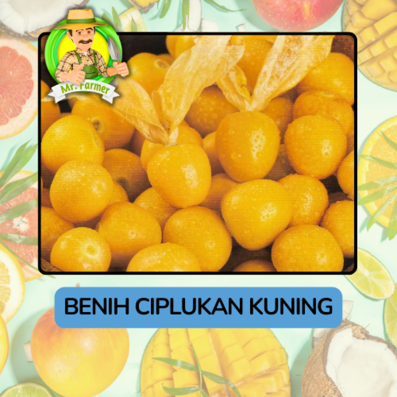 Benih Buah Buahan Bibit Biji Tanaman Organik Benih Buah Buahan Bibit Biji Tanaman Organik