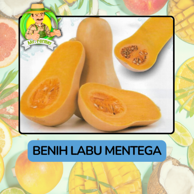 Benih Buah Buahan Bibit Biji Tanaman Organik Benih Buah Buahan Bibit Biji Tanaman Organik