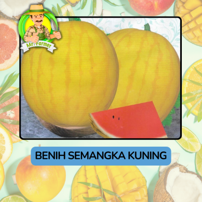 Benih Buah Buahan Bibit Biji Tanaman Organik Benih Buah Buahan Bibit Biji Tanaman Organik