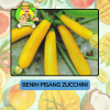 Benih Buah Buahan Bibit Biji Tanaman Organik