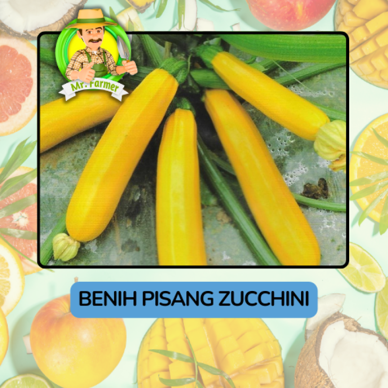 Benih Buah Buahan Bibit Biji Tanaman Organik Benih Buah Buahan Bibit Biji Tanaman Organik