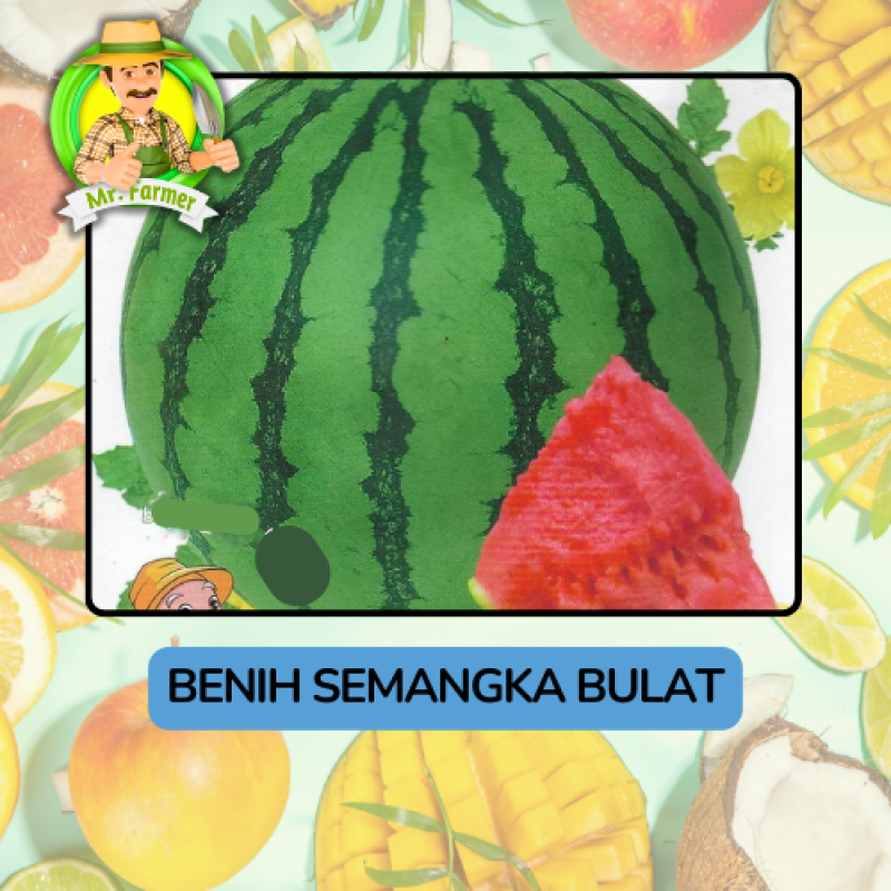 Benih Buah Buahan Bibit Biji Tanaman Organik Benih Buah Buahan Bibit Biji Tanaman Organik