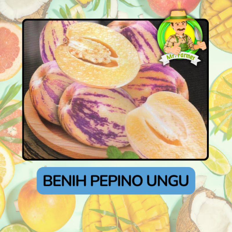 Benih Buah Buahan Bibit Biji Tanaman Organik Benih Buah Buahan Bibit Biji Tanaman Organik