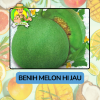 Benih Buah Buahan Bibit Biji Tanaman Organik