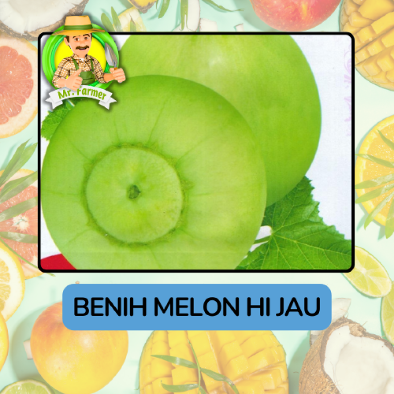 Benih Buah Buahan Bibit Biji Tanaman Organik Benih Buah Buahan Bibit Biji Tanaman Organik