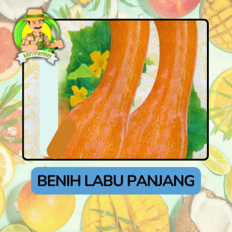 Benih Buah Buahan Bibit Biji Tanaman Organik Benih Buah Buahan Bibit Biji Tanaman Organik
