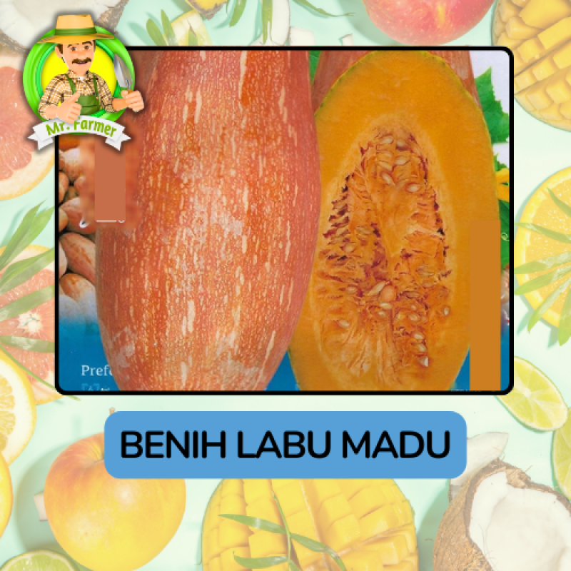 Benih Buah Buahan Bibit Biji Tanaman Organik Benih Buah Buahan Bibit Biji Tanaman Organik