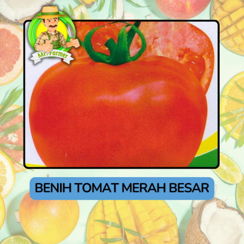 Benih Buah Buahan Bibit Biji Tanaman Organik Benih Buah Buahan Bibit Biji Tanaman Organik