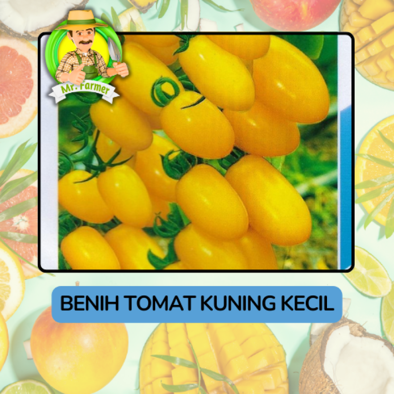 Benih Buah Buahan Bibit Biji Tanaman Organik Benih Buah Buahan Bibit Biji Tanaman Organik