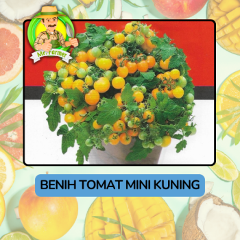Benih Buah Buahan Bibit Biji Tanaman Organik