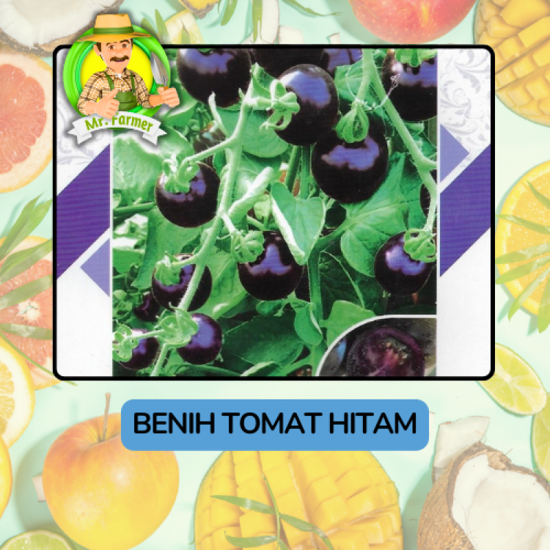 Benih Buah Buahan Bibit Biji Tanaman Organik Benih Buah Buahan Bibit Biji Tanaman Organik