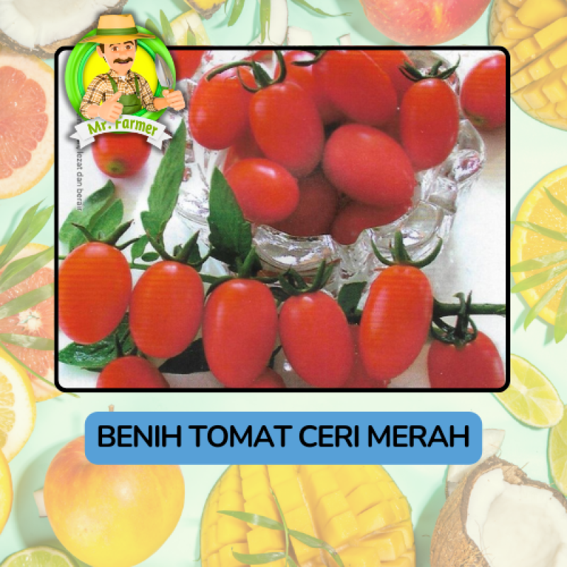 Benih Buah Buahan Bibit Biji Tanaman Organik Benih Buah Buahan Bibit Biji Tanaman Organik