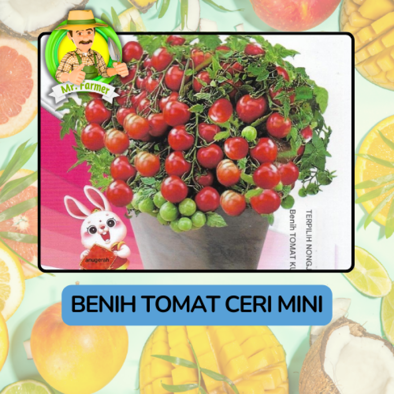 Benih Buah Buahan Bibit Biji Tanaman Organik Benih Buah Buahan Bibit Biji Tanaman Organik