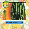 Benih Buah Buahan Bibit Biji Tanaman Organik