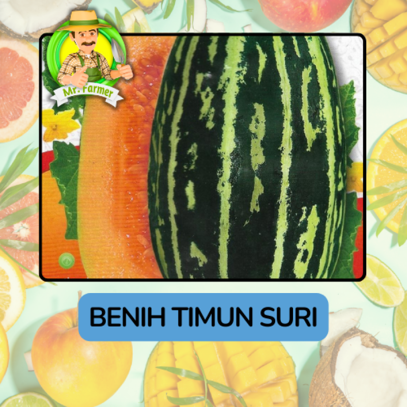 Benih Buah Buahan Bibit Biji Tanaman Organik Benih Buah Buahan Bibit Biji Tanaman Organik