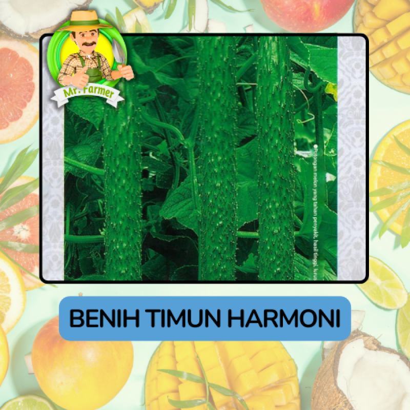 Benih Buah Buahan Bibit Biji Tanaman Organik Benih Buah Buahan Bibit Biji Tanaman Organik