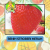 Benih Buah Buahan Bibit Biji Tanaman Organik