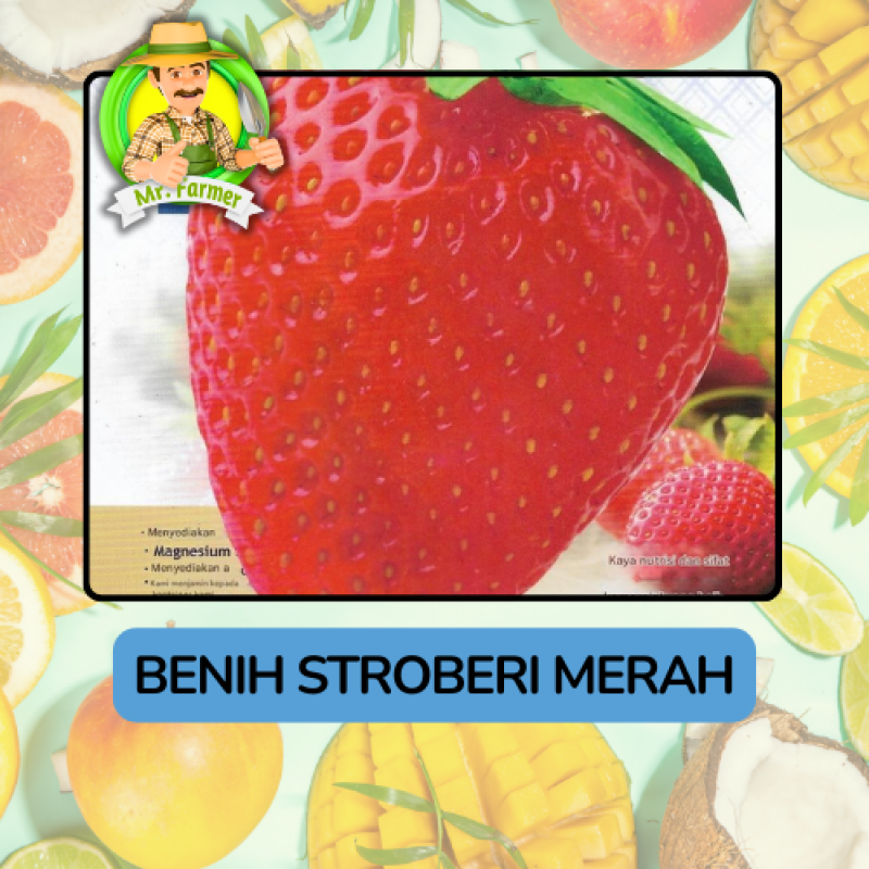 Benih Buah Buahan Bibit Biji Tanaman Organik Benih Buah Buahan Bibit Biji Tanaman Organik