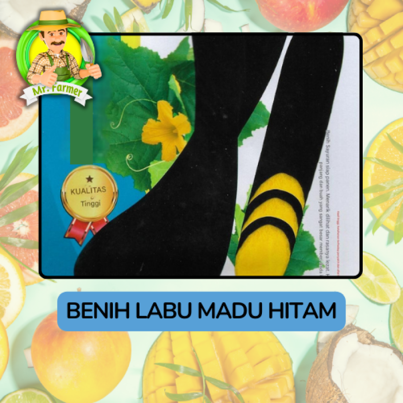 Benih Buah Buahan Bibit Biji Tanaman Organik Benih Buah Buahan Bibit Biji Tanaman Organik