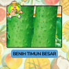 Benih Buah Buahan Bibit Biji Tanaman Organik