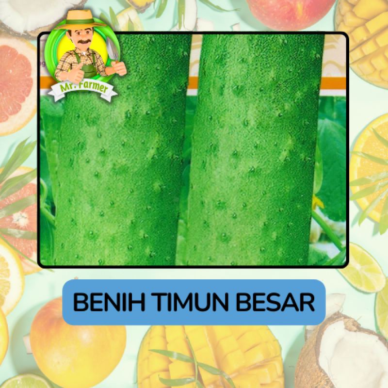 Benih Buah Buahan Bibit Biji Tanaman Organik Benih Buah Buahan Bibit Biji Tanaman Organik