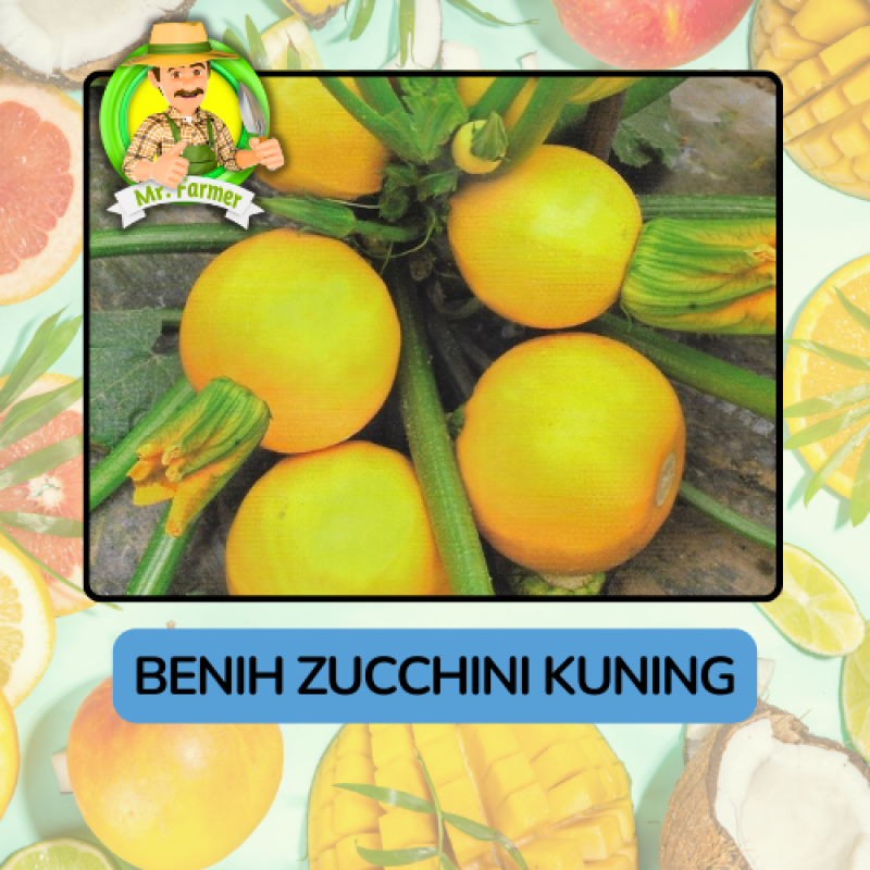 Benih Buah Buahan Bibit Biji Tanaman Organik Benih Buah Buahan Bibit Biji Tanaman Organik