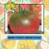 Benih Buah Buahan Bibit Biji Tanaman Organik